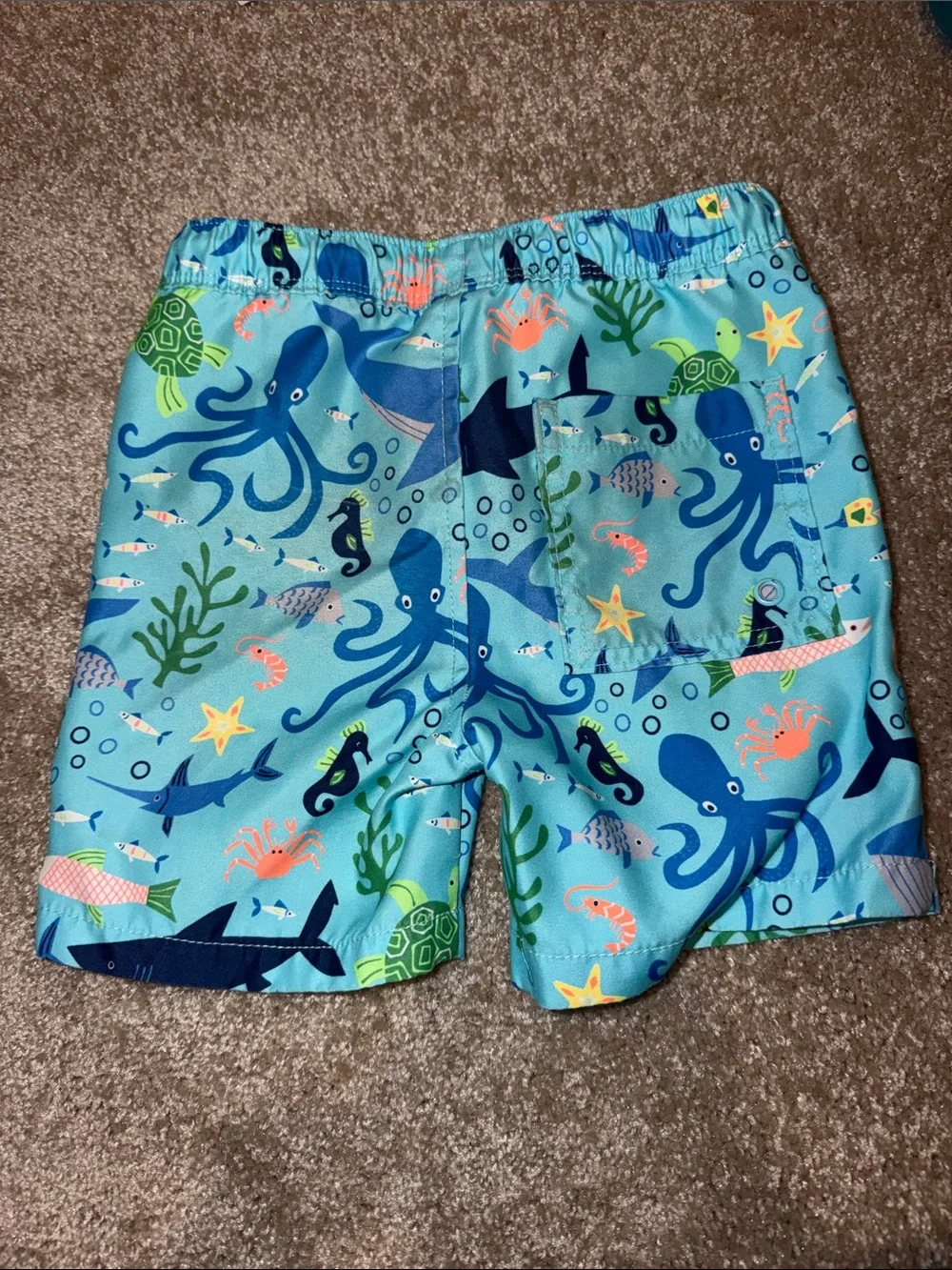 Boys Swim Trunks 4t, 5t and 5